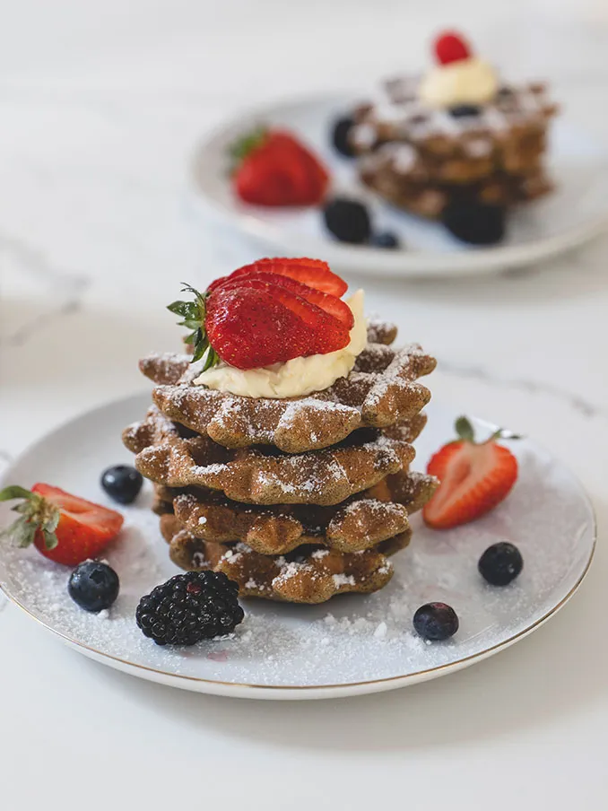 Low Carb High Protein Waffles - GF